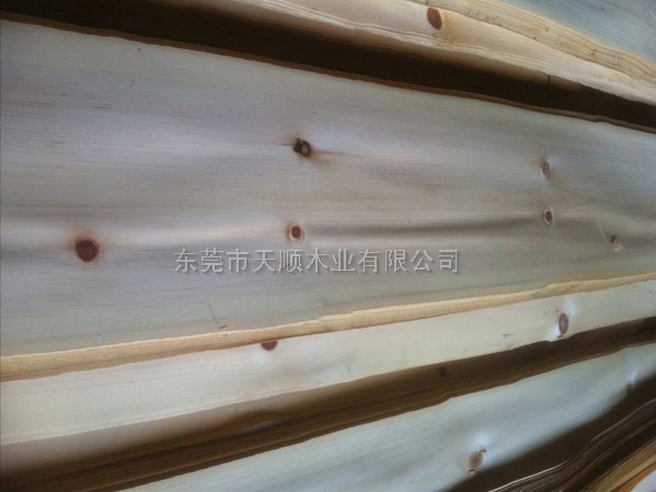 美國節松木皮 節松 木皮 山紋木皮 直紋木皮 天然木皮 球紋 高檔木皮 排骨影 方塊影 碎影 木皮價格 山紋 直紋 樹榴