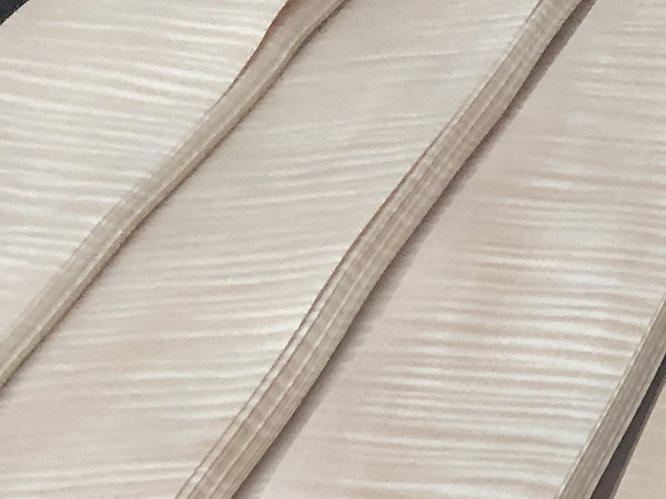 白影木皮 白影木皮